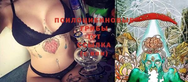 2c-b Алексин