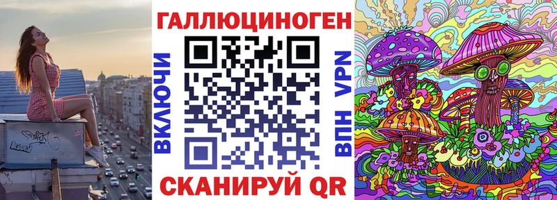 Псилоцибиновые грибы Psilocybine cubensis  Константиновск 